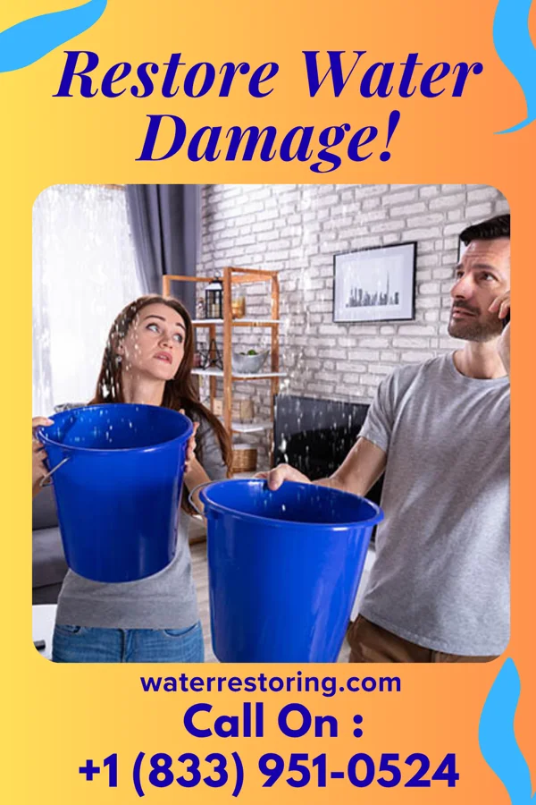 water restoration Prestige Water Cleanup & Associates Massanutten