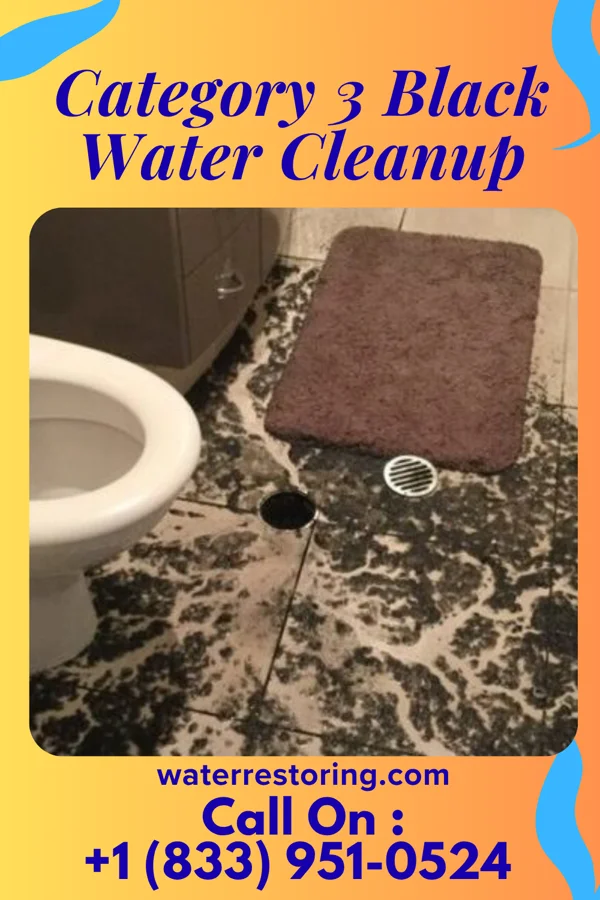 Category 3 Black Water Cleanup in Massanutten, VA
