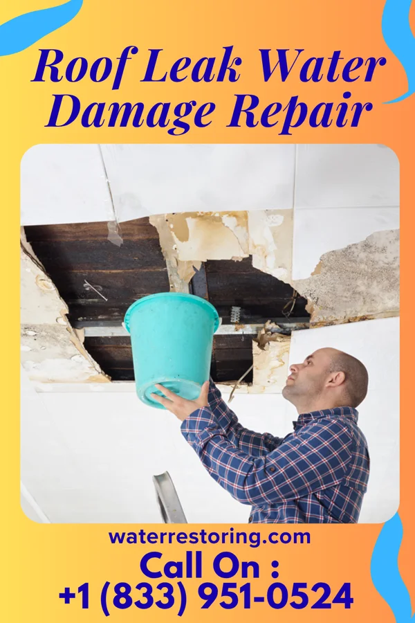 Roof Leak Water Damage Repair in Massanutten, VA