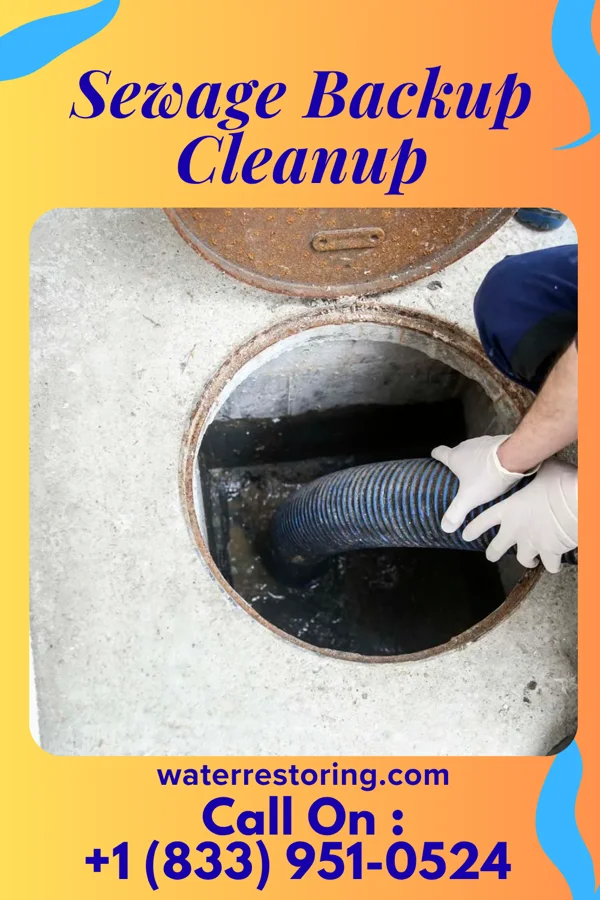 Sewage Backup Cleanup in Massanutten, VA