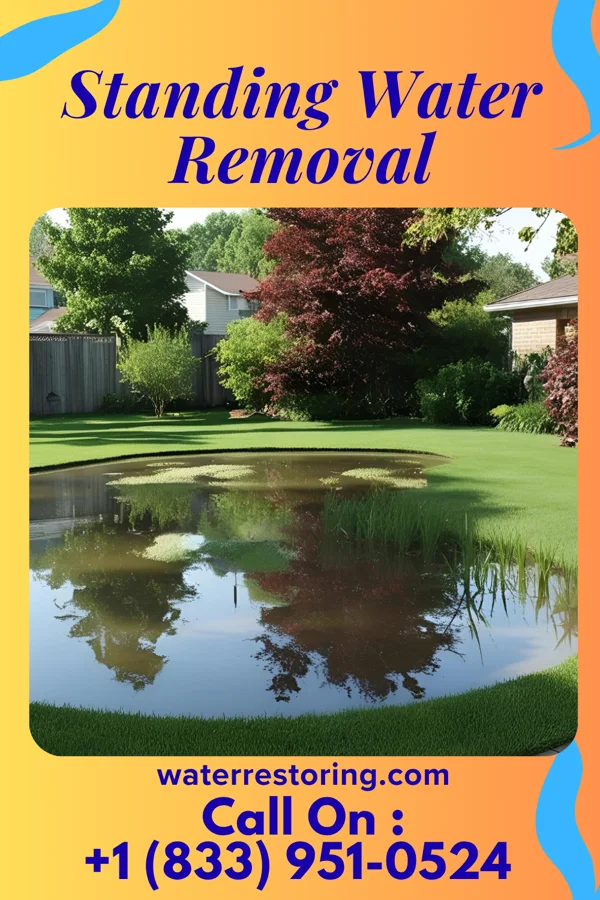 Standing Water Removal in Massanutten, VA